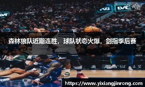 bsports官网入口