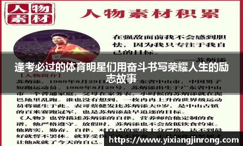 bsports官网入口