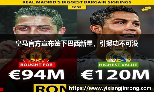 bsports登录入口