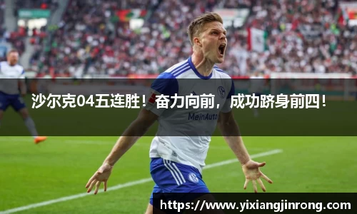 bsports登录入口