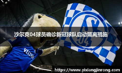 bsports登录入口