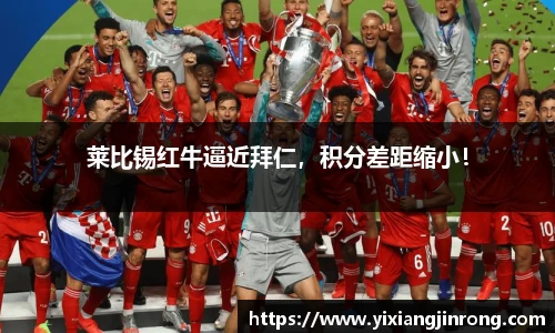 bsports登录入口