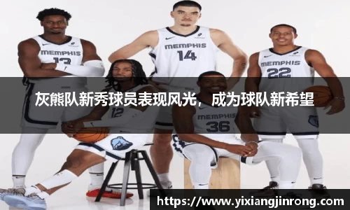bsports登录入口