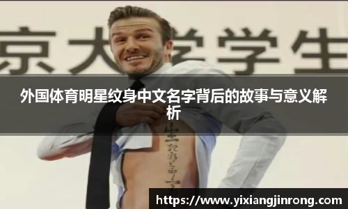 bsports登录入口