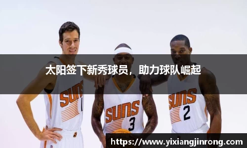 bsports官网入口