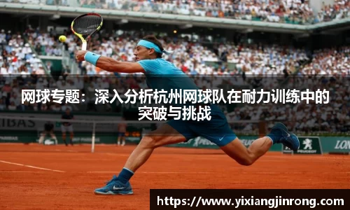bsports登录入口