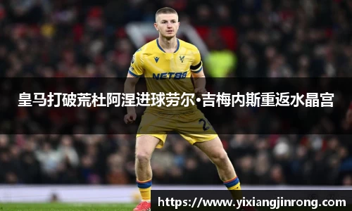 bsports登录入口