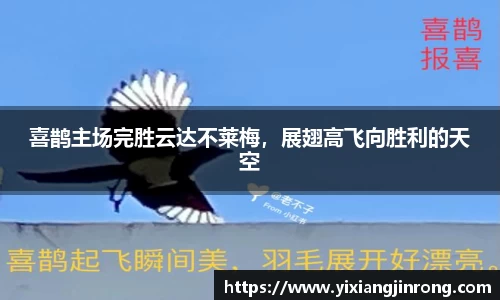 Bsports网页版