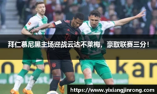 bsports登录入口