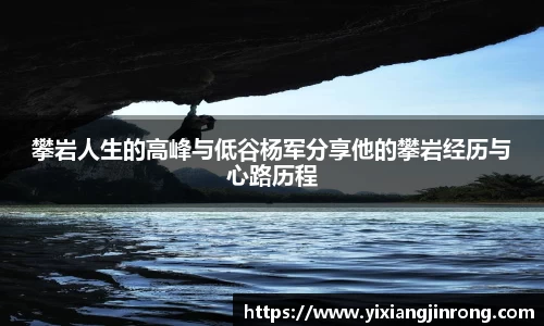 bsports登录入口