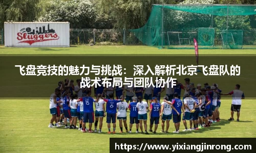 bsports官网入口