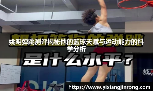 bsports登录入口