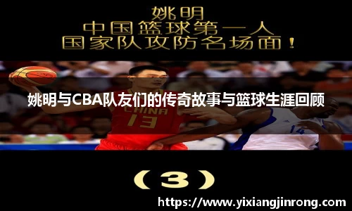 bsports登录入口