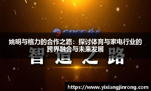 bsports登录入口