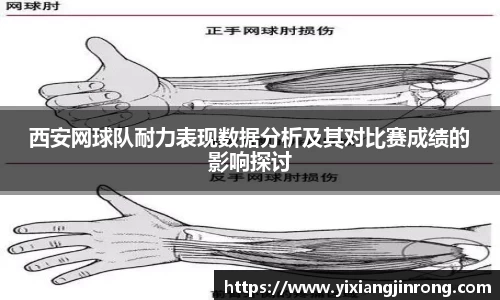 bsports官网入口