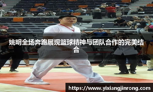 bsports官网入口