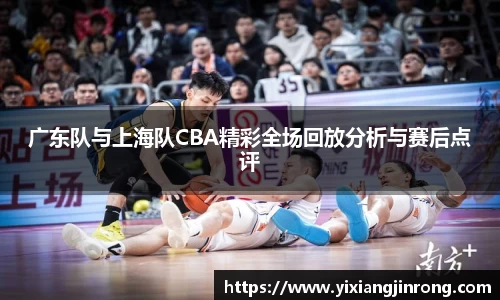 bsports官网入口