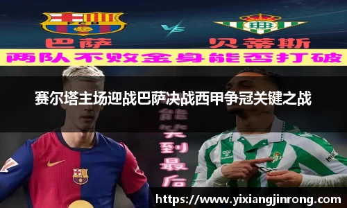 Bsports网页版