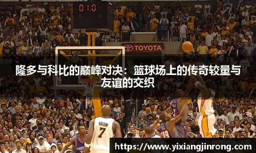 bsports官网入口