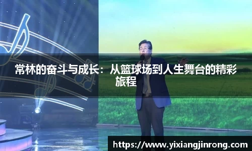 Bsports网页版