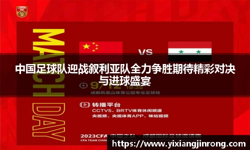 bsports官网入口