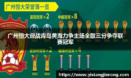 bsports官网入口