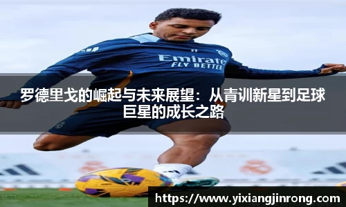 Bsports网页版