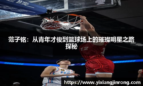 bsports官网入口